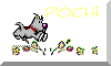 A little puppy running, with flowers and the word POCHI